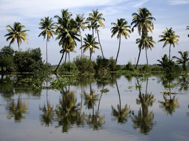 Kerala Backwaters